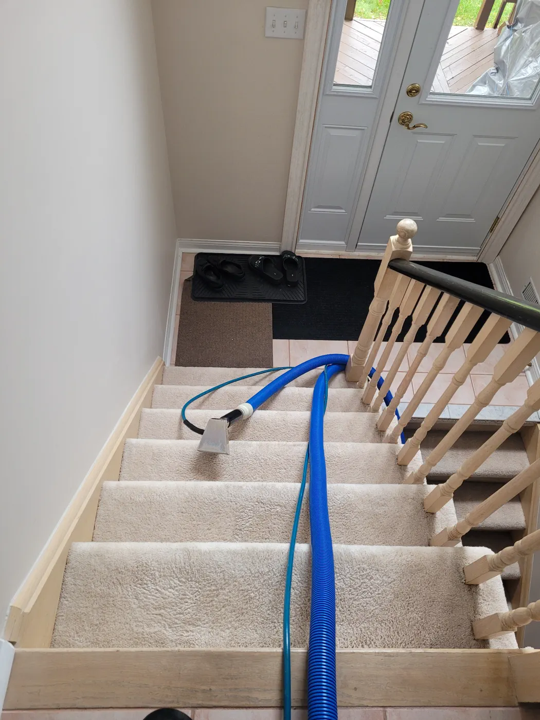 House Carpet Cleaning